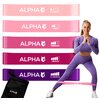 Zestaw gum do ćwiczeń ALPHA Mini Band Różowy MB-02 Grubość [cm] 0.06