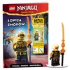Książka LEGO Ninjago Łowca smoków LNC-6733 (okładka miękka)