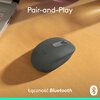 Mysz LOGITECH M196 Graphite Rozdzielczość 1000 dpi