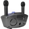 Power audio Karaoke MUSICMATE MM-SK70-GR SingOwl Mikrofon w zestawie Tak