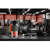 Blender personalny SENCOR SBL 151BK Regulacja obrotów Mechaniczna