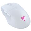 Mysz TURTLE BEACH Pure Air Biały Rozdzielczość 26000 dpi