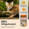 Przysmak dla kota INABA Ciao Churu Variety Kurczak (50 x 14 g) Przeznaczenie Zabawa