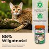 Przysmak dla kota INABA Ciao Churu Variety Tuńczyk z kurczakiem (50 x 14 g) Przeznaczenie Zabawa