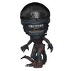 Figurka FUNKO Pop Alien Romulus Scorched Xenomorph Załączona dokumentacja Instrukcja obsługi w języku polskim