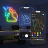 Taśma LED GOVEE Neon Rope Light 2 H61D5 5 m Wi-Fi/Bluetooth Funkcje dodatkowe Mapowanie kształtu