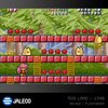Zestaw gier EVERCADE Jaleco Arcade 1 Gatunek Zręcznościowa