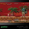 Zestaw gier EVERCADE Gaelco Arcade 2 Gra Gatunek Platformowa