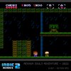 Zestaw gier EVERCADE Indie Heroes 2 Rodzaj Zestaw gier