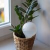 Kula nawadniająca BIOOGRÓD 720960 Średnica [mm] 89