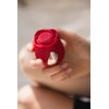 Masażer BEAUTIFLY Rose Glow Pleaser Informacje dodatkowe Delikatny w dotyku
