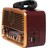 Radio BLOW RA10 Analogowe Pomarańczowy Zakresy fal radiowych AM