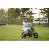 Motorek elektryczny HYPER GOGO Pioneer 12 Plus Pomarańczowy Liczba biegów 1