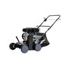 Wertykulator spalinowy NAC LRP40-118-CH 2.2kW 40cm Rodzaj wykonywanych prac Wertykulacja