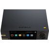 Streamer odtwarzacz sieciowy EVERSOLO DMP-A6 Master Edition Obsługa formatów audio DSD