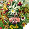 Puzzle CENEGA Imagination Ernst Haeckel Orchidea Orchid (1000 elementów) Tematyka Roślinność
