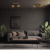 Oprawa ścienno-sufitowa LIGHTLOGIC 66193 Czarny Rodzaj Oprawa ścienno-sufitowa