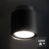 Żarówka LED LIGHTLOGIC 66049 LL GU10 6W-NW Rodzaj Żarówka LED