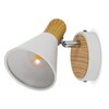 Lampa ścienno-sufitowa LIGHTLOGIC LL LASH EL-1O E14 66217 Zasilanie Sieciowe