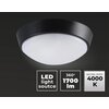 Plafoniera sufitowa LIGHTLOGIC LL CHAO 18W-B 66309 Rodzaj Plafon sufitowy