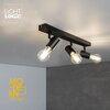 Lampa ścienno-sufitowa LIGHTLOGIC LL DZAN EL-3I E27 Rodzaj Lampa ścienno-sufitowa