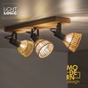 Oprawa ścienno-sufitowa LIGHTLOGIC LL GORTA EL-3 66435 Zasilanie Sieciowe