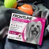 Roztwór do nakrapiania dla psów FRONTLINE TRI-ACT XS 3 x 0,5 ml Ochrona przez 12 tygodni Wielkość zwierzęcia Rasy małe