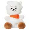 Maskotka AURORA BT21 RJ Palm Pals 61505