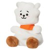 Maskotka AURORA BT21 RJ Palm Pals 61505 Seria BT21