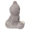 Maskotka AURORA BT21 Van Palm Pals 61511 Płeć Chłopiec