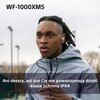 Słuchawki dokanałowe SONY WF1000XM5P.CE7 TWS ANC Wodoodporne Różowy Typ słuchawek Dokanałowe