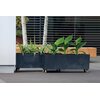 Doniczka PROSPERPLAST Urbi Case Beton Effect (77 x 30 x 23.5 cm) 40L Antracytowy Materiał Tworzywo sztuczne