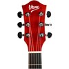 Gitara akustyczna V-TONE AG Two SB Sunburst Liczba progów 20