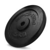 Obciążenie SPOKEY SINIS (5 kg) Materiał Żeliwo