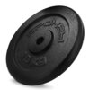 Obciążenie SPOKEY SINIS (10 kg) Materiał Żeliwo