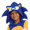 Strój karnawałowy DISGUISE Jeż Sonic 125-135 cm Płeć Dziewczynka