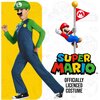 Strój karnawałowy DISGUISE Super Mario Luigi 110-122 cm Płeć Chłopiec