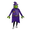 Strój karnawałowy DISGUISE Lego Wiedźma 125-135 cm Płeć Dziewczynka