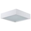 Plafon sufitowy KANLUX Mersa 380-W/M