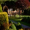 Krzesło ogrodowe PATIO Solar Brązowy Rodzaj Krzesło ogrodowe