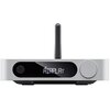 Odtwarzacz sieciowy FIIO SR11 Srebrny Obsługa formatów audio DSD64