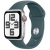 Pasek do Apple Watch (38/40/41mm) S/M Górskie jezioro