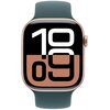 Pasek do Apple Watch (44/45/46/49mm) S/M Górskie Jezioro Rodzaj Pasek