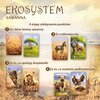 Gra karciana NASZA KSIĘGARNIA Ekosystem 3 Sawanna Płeć Chłopiec