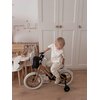 Rower dziecięcy SUN BABY Verdant Rowan 14 cali dla chłopca Cappuccino Wyposażenie Koszyk przedni