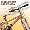 Rower dziecięcy SUN BABY Verdant 20 cali dla chłopca Cappuccino Kolory dostępne w ofercie producenta Niebieski