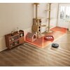 Robot sprzątający DREAME D9 Max Gen 2 Czarny Waga [kg] 3.6