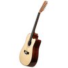 Gitara akustyczna 12-strunowa MUSICMATE MM-G100 StringSymphony Jasne drewno Drewno korpusu Świerk