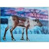 Puzzle TACTIC Lovers Reindeer 58668 (1000 elementów) Seria Lovers