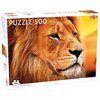 Puzzle TACTIC Lovers African Lion 58306 (500 elementów)